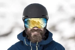 Alpina Big horn Q skibrille